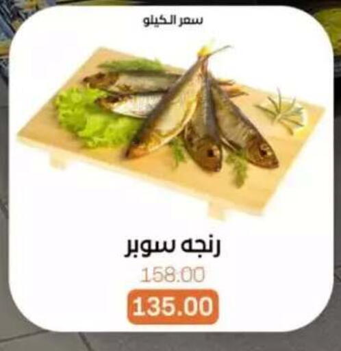 available at Beit El Gomla in Egypt - Cairo