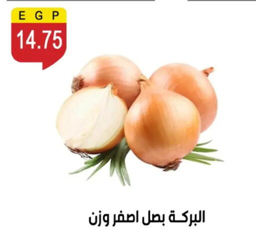 available at بن سليمان in Egypt - القاهرة