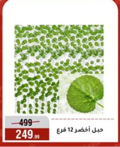 available at Al Morshedy  in Egypt - Cairo