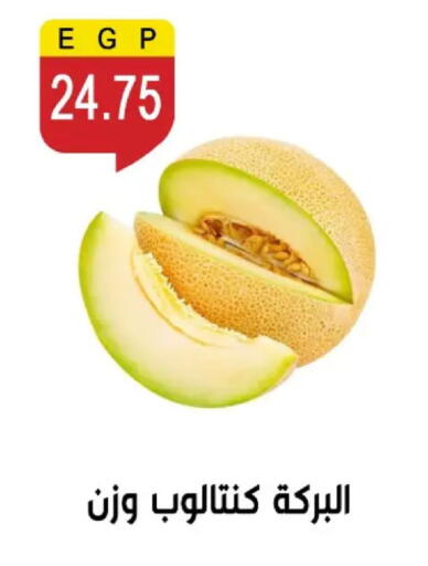 available at بن سليمان in Egypt - القاهرة