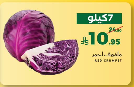 available at Mira Mart Mall in KSA, Saudi Arabia, Saudi - Jeddah