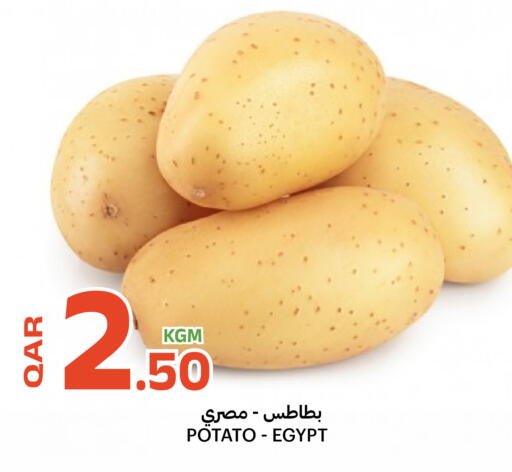 Potato from Egypt available at البلدي اليوم in قطر - الوكرة