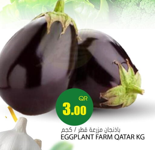 Eggplant from Qatar available at Grand Hypermarket in Qatar - Doha