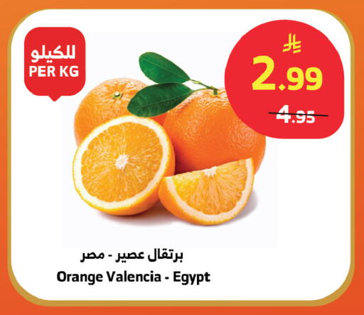 Orange from Egypt available at الراية in مملكة العربية السعودية, السعودية, سعودية - خميس مشيط