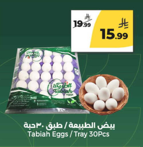available at Danah Daily Fresh in KSA, Saudi Arabia, Saudi - Riyadh