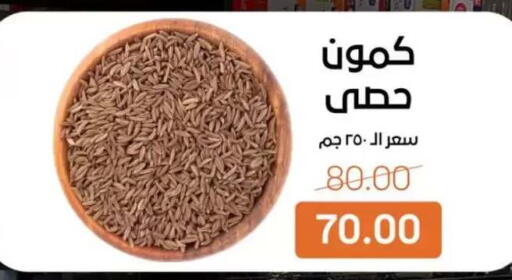 available at بيت الجملة in Egypt - القاهرة