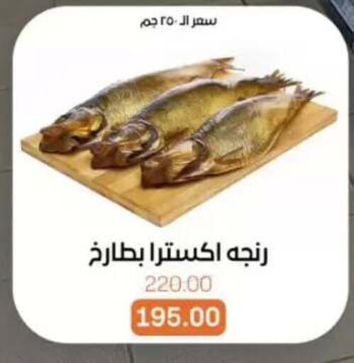 available at Beit El Gomla in Egypt - Cairo