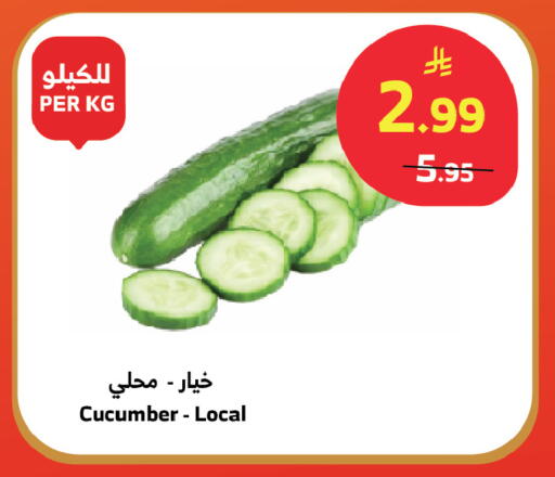 Cucumber available at الراية in مملكة العربية السعودية, السعودية, سعودية - المدينة المنورة