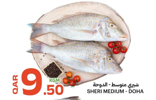 available at Al Baladi Al Yawm in Qatar - Al Shamal