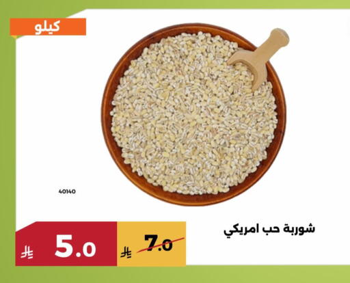 available at حدائق الفرات in مملكة العربية السعودية, السعودية, سعودية - مكة المكرمة