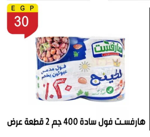 available at بن سليمان in Egypt - القاهرة