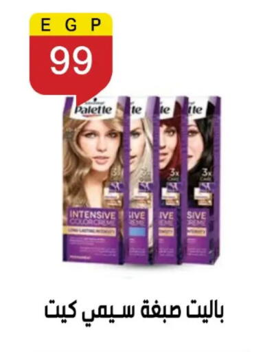 available at بن سليمان in Egypt - القاهرة