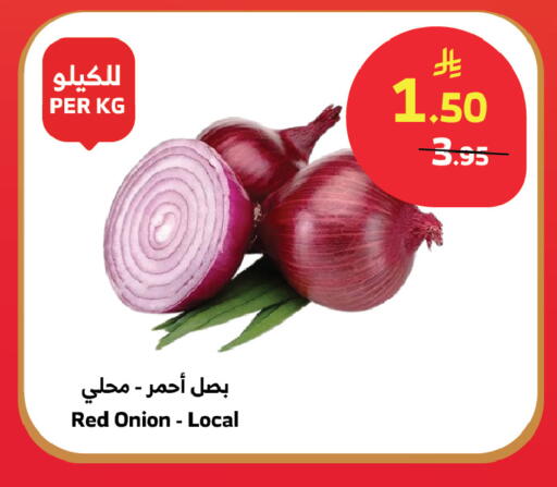 Onion available at الراية in مملكة العربية السعودية, السعودية, سعودية - المدينة المنورة