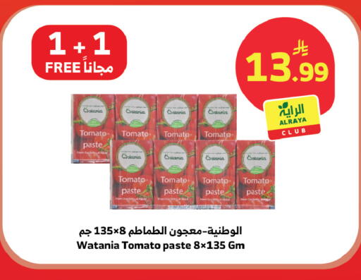 Tomato available at Al Raya in KSA, Saudi Arabia, Saudi - Tabuk