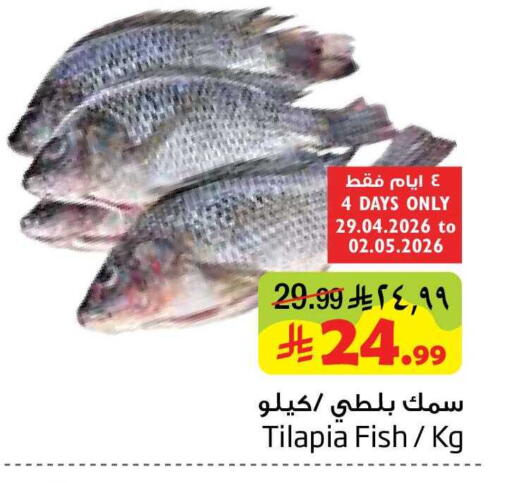 available at Layan Hyper in KSA, Saudi Arabia, Saudi - Al Khobar