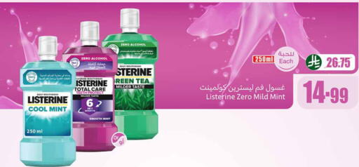 Mint available at Othaim Markets in KSA, Saudi Arabia, Saudi - Ar Rass