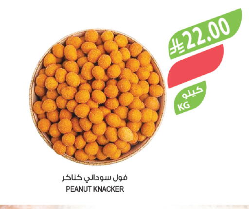 available at المزرعة in مملكة العربية السعودية, السعودية, سعودية - حفر الباطن