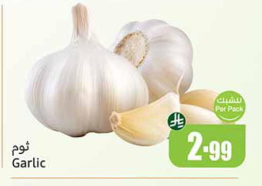 Garlic available at أسواق عبد الله العثيم in مملكة العربية السعودية, السعودية, سعودية - تبوك