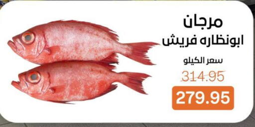 available at Beit El Gomla in Egypt - Cairo