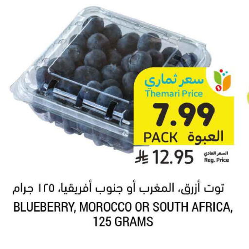 Blueberry BlueBerry from Morocco South Africa available at أسواق التميمي in مملكة العربية السعودية, السعودية, سعودية - الرس