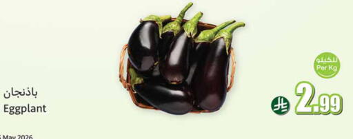 Eggplant available at أسواق عبد الله العثيم in مملكة العربية السعودية, السعودية, سعودية - تبوك