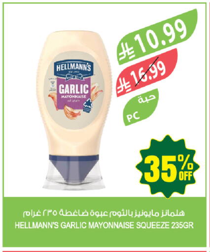 Garlic available at المزرعة in مملكة العربية السعودية, السعودية, سعودية - تبوك