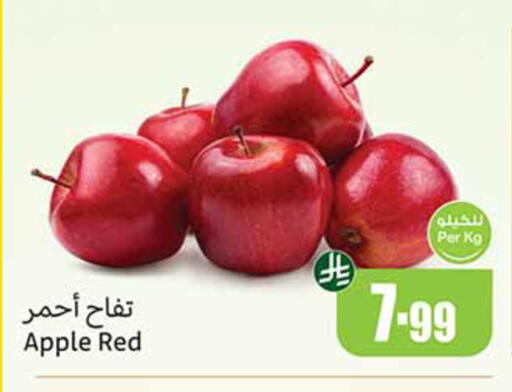 Apple available at Othaim Markets in KSA, Saudi Arabia, Saudi - Al Khobar