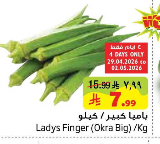Okra available at Layan Hyper in KSA, Saudi Arabia, Saudi - Al Khobar
