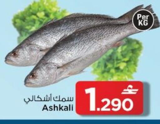 available at MARK & SAVE in Oman - Muscat