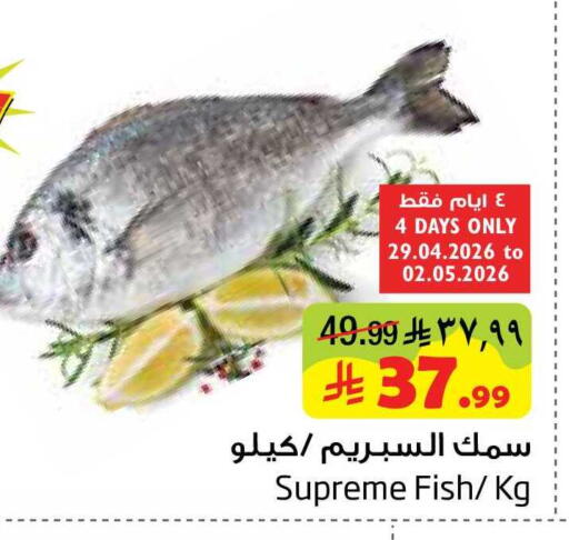 available at Layan Hyper in KSA, Saudi Arabia, Saudi - Al Khobar