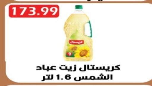 available at يورومارشيه in Egypt - القاهرة