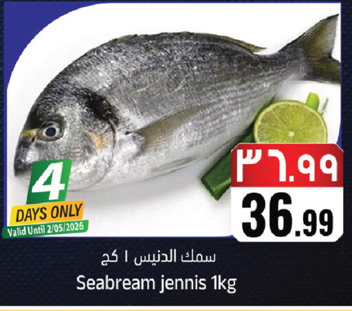 available at ستي فلاور in مملكة العربية السعودية, السعودية, سعودية - نجران