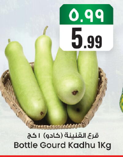 available at ستي فلاور in مملكة العربية السعودية, السعودية, سعودية - سكاكا