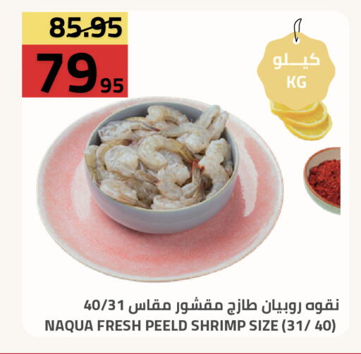 available at أسواق أسترا in مملكة العربية السعودية, السعودية, سعودية - تبوك