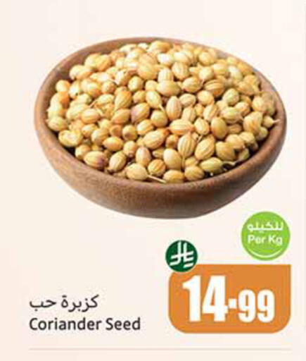 Coriander available at Othaim Markets in KSA, Saudi Arabia, Saudi - Ar Rass