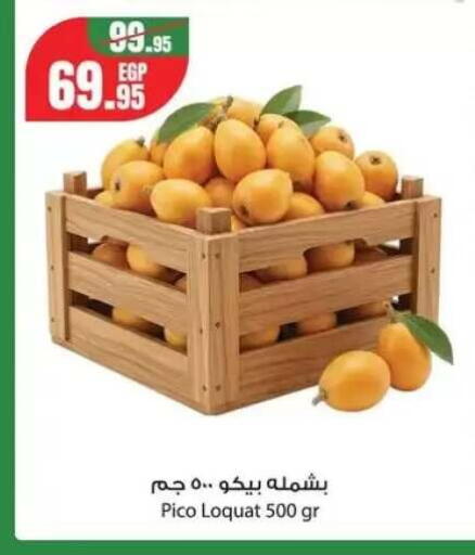 from Egypt available at جيان مصر in Egypt - القاهرة