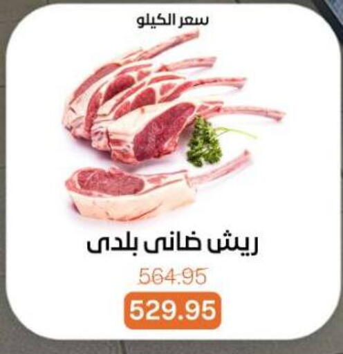 available at Beit El Gomla in Egypt - Cairo