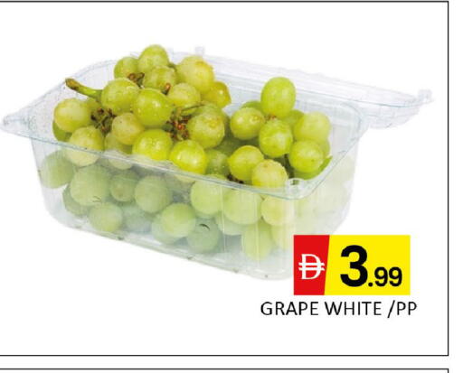 available at المدينة in الإمارات العربية المتحدة , الامارات - دبي