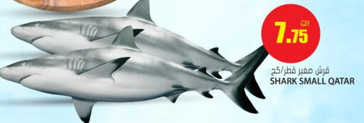 available at جراند هايبرماركت in قطر - أم صلال