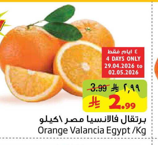 Orange from Valancia Egypt available at Layan Hyper in KSA, Saudi Arabia, Saudi - Al Khobar