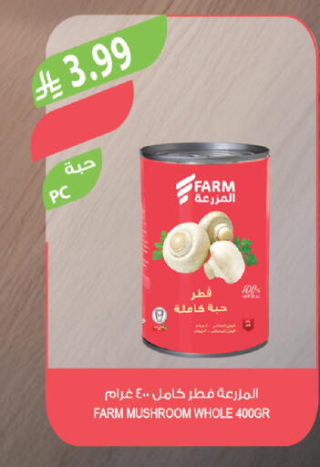 Mushroom available at المزرعة in مملكة العربية السعودية, السعودية, سعودية - حفر الباطن