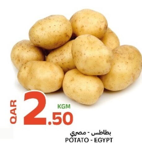 Potato from Egypt available at البلدي اليوم in قطر - الدوحة