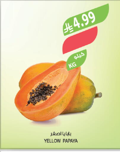 Papaya available at المزرعة in مملكة العربية السعودية, السعودية, سعودية - حفر الباطن