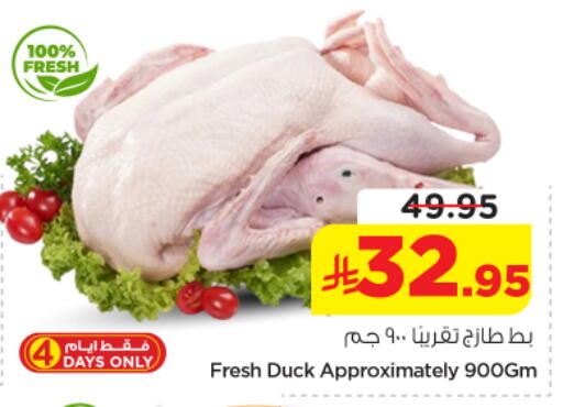 available at نستو in مملكة العربية السعودية, السعودية, سعودية - الخرج