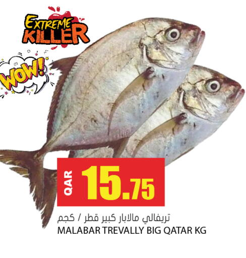 available at Grand Hypermarket in Qatar - Al Daayen