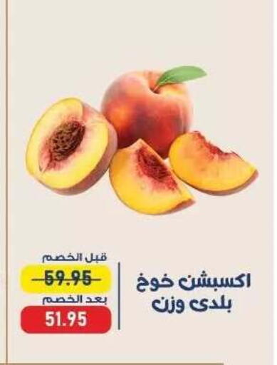 available at Exception Market in Egypt - Cairo