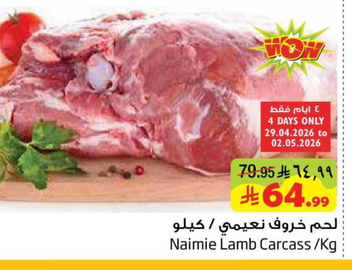available at Layan Hyper in KSA, Saudi Arabia, Saudi - Al Khobar