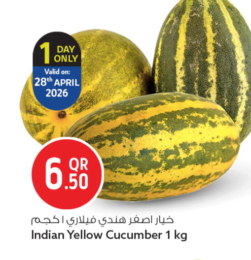 Cucumber from India available at سفاري هايبر ماركت in قطر - الشمال