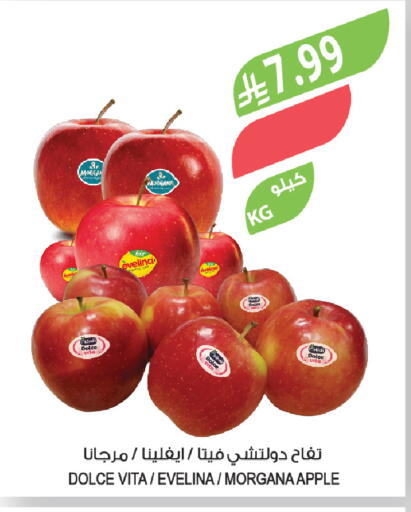 Apple available at Farm  in KSA, Saudi Arabia, Saudi - Al Khobar