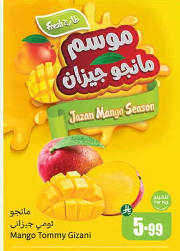 Mango available at Othaim Markets in KSA, Saudi Arabia, Saudi - Hafar Al Batin